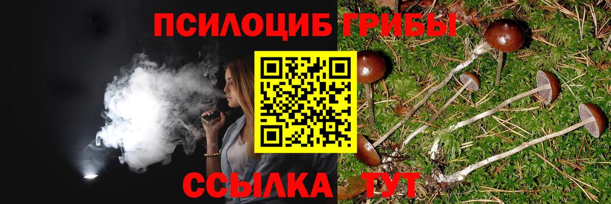 Псилоцибиновые грибы ЛСД Аша