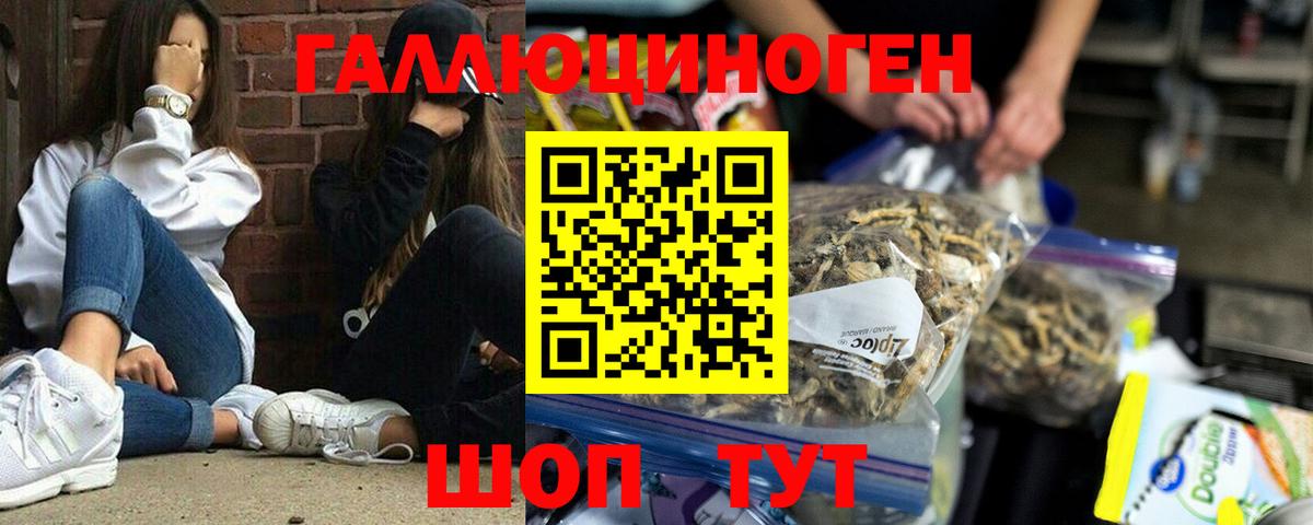 Аша  Галлюциногенные грибы ЛСД  Вход с VPN 
